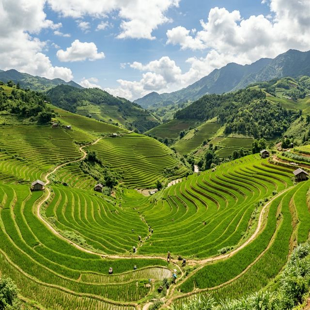 Agricultural Fields